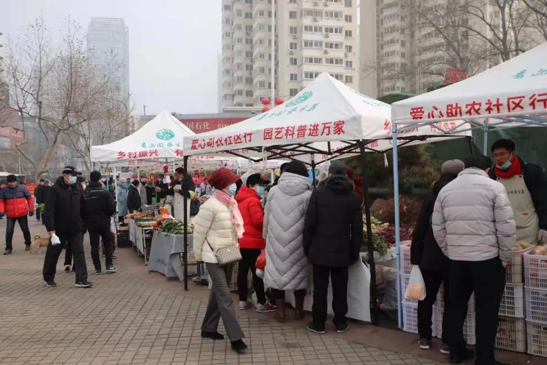 青島園藝市集盛大開集，60余種物美價廉林業產品任您選購