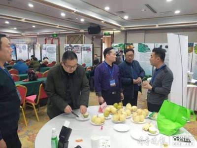 陽信鴨梨榮獲“全國綠色農業十佳地標品牌”稱號，綠色農業品牌價值再提升