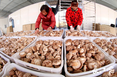 十堰鄖陽:脫貧攻堅(jiān)路上的鏗鏘足音——林業(yè)產(chǎn)品銷售助力鄉(xiāng)村振興