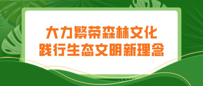 生態(tài)廊道繪就綠色畫卷 衢州林業(yè)“十四五”規(guī)劃發(fā)布下的詩畫風(fēng)光帶新生